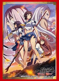 Bushiroad Sleeve Collection HG Vol.2117: Ikki Tousen Western Wolves (60-Pack) · Bushiroad Card Sleeves