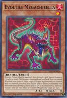 Protocol Gardna - CHIM-EN038 - Common - 1st Edition NM YuGiOh