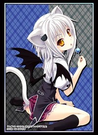 Bushiroad Sleeve Collection HG Vol.2152: Fujimi Fantasia Bunko - High School DxD · Bushiroad Card Sleeves