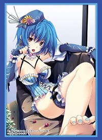 Bushiroad Sleeve Collection HG Vol.2153: Fujimi Fantasia Bunko - High School DxD · Bushiroad Card Sleeves