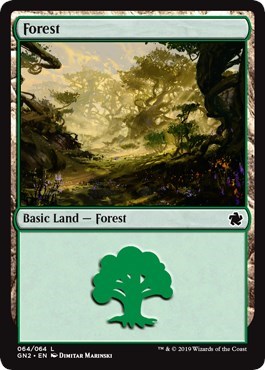 Forest 064