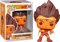 Vegeta (Training)