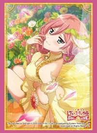 Bushiroad Sleeve Collection HG Vol.2256: Shoujo Kageki Revue Starlight -Re LIVE- · Bushiroad Card Sleeves