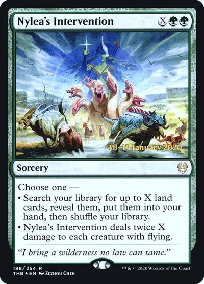 Nyleas Intervention