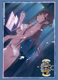 Bushiroad Sleeve Collection HG Vol.2301: Sword Art Online 10th Anniversary - Ain · Bushiroad Card Sleeves