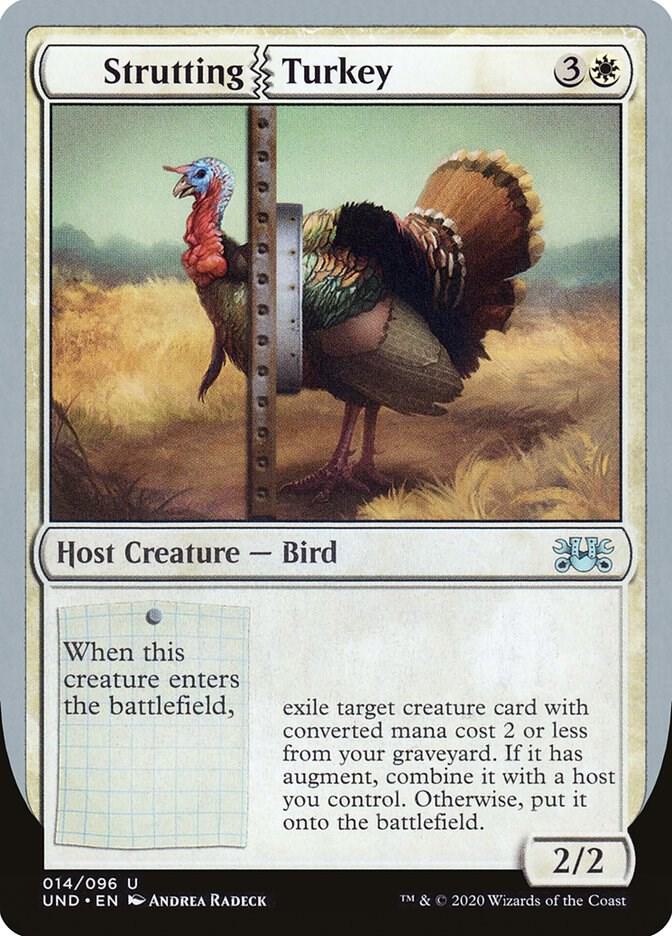 mtg turkey card Game Crave Tournament Store - Braids, Arisen Nightmare (DSC-133)