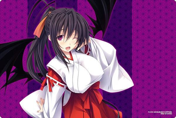 akeno himejima card sleeves High School DxD Hero