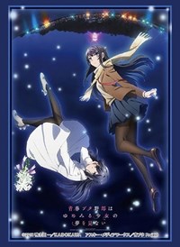 Bushiroad Sleeve Collection HG Vol.2378: Bunny Girl Senpai - Mai & Shoko (60-Pac · Bushiroad Card Sleeves