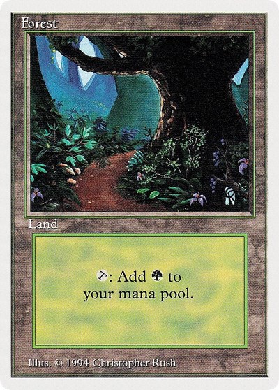 Forest B