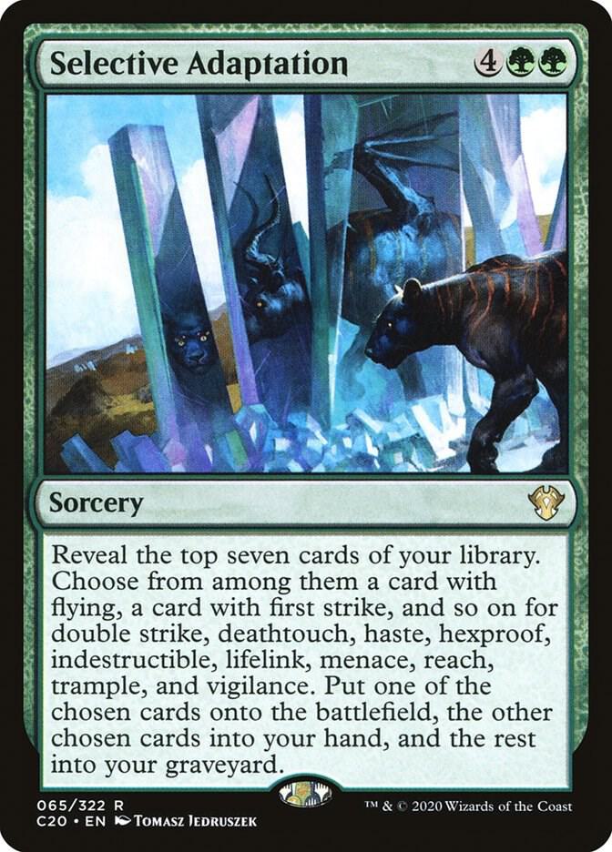 Selective Adaptation 65 card
