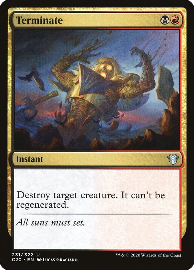 Terminate 231 card