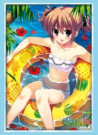 Bushiroad Sleeve Collection HG Vol.2360: The Fruit of Grisaia - Makina Irisu (60 · Bushiroad Card Sleeves