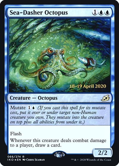 Sea Dasher Octopus