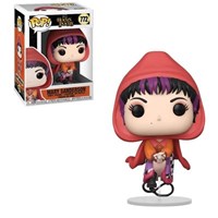 Mary Sanderson (Flying)