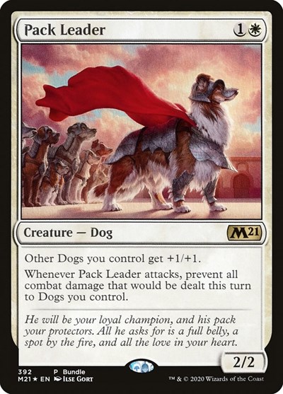 Pack Leader M21 Bundle