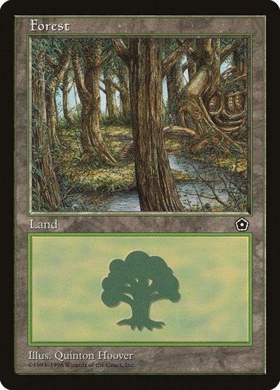 Forest (152)