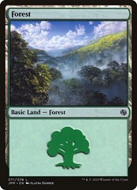 Forest (071)