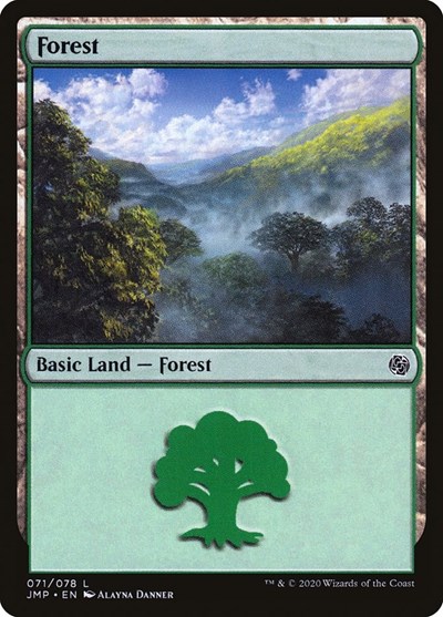Forest 071