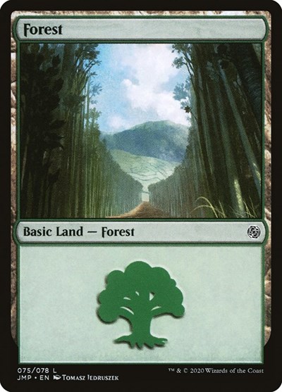 Forest 075