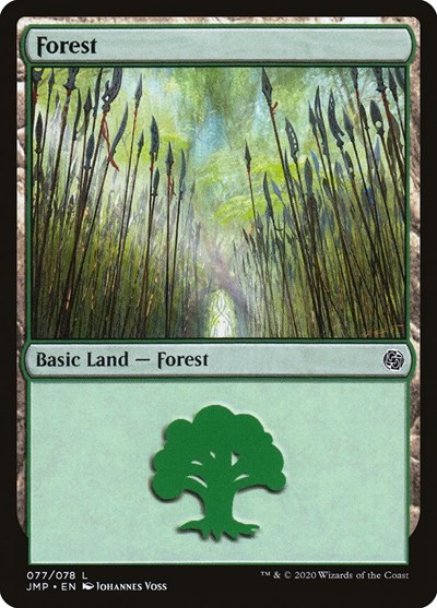Forest 077