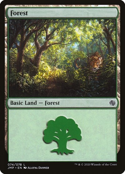 Forest 074