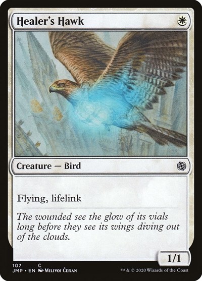 Healers Hawk