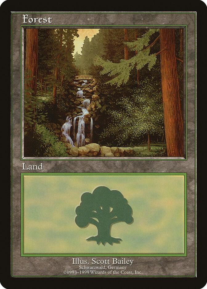 Forest - Schwarzwald - European Lands - Magic: The Gathering