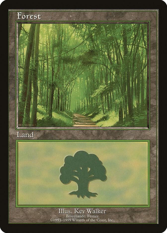 Forest - Broceliande - European Lands - Magic: The Gathering