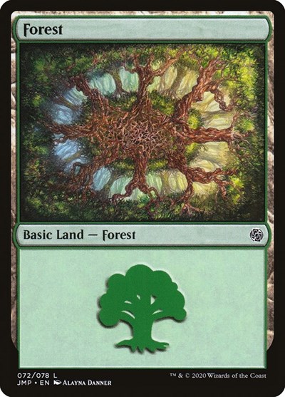 Forest 072