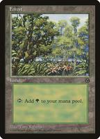 エラーカード mountain 山 MTG ズレ 1996 初代 アリーナランド Forest (1996) - Arena Promos - Magic: The Gathering - TCGplayer.com