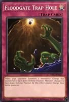 floodgate cards yugioh Yu-Gi-Oh! Trap Hole - SDBT-EN032 - Common may be 1st or Unlimited Edition Secret Rare Floodgate Trap Hole