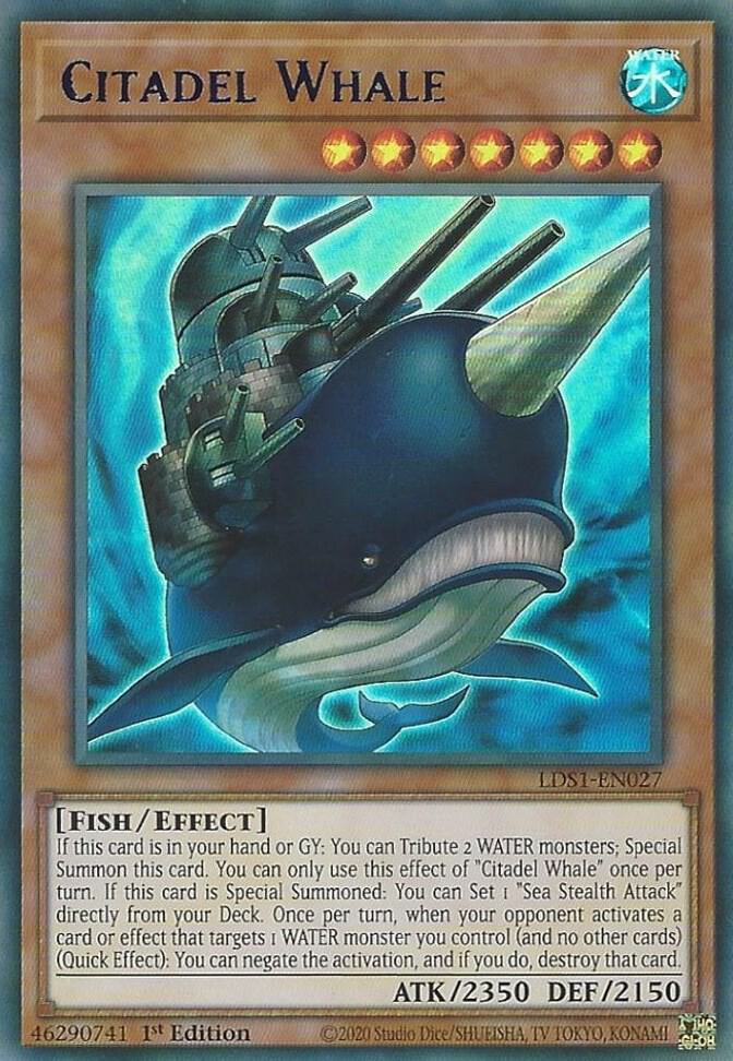 Citadel Whale