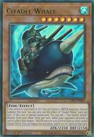 TCGplayer - YuGiOh Legendary Duelists: Season 1 Price Guide