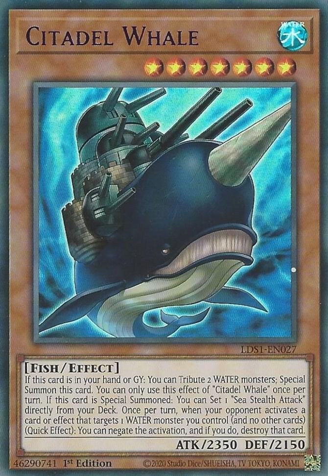Citadel Whale