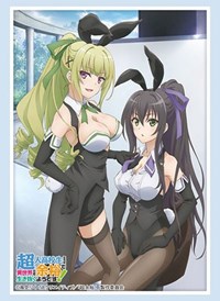 Bushiroad Sleeve Collection HG Vol.2446: High School Prodigies Have It Easy Even · Bushiroad Card Sleeves