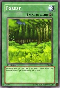 Forest (The Legend of Blue Eyes White Dragon)