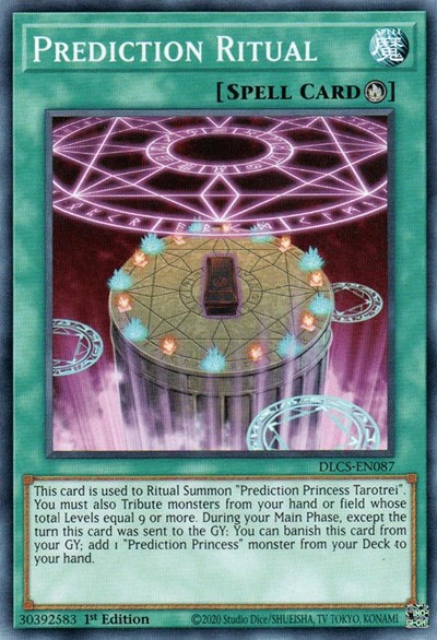 Prediction Ritual