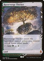 Razorverge Thicket - Zendikar Rising Expeditions - Magic