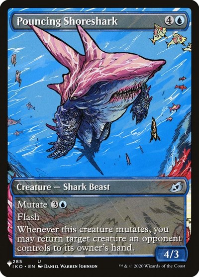 Pouncing Shoreshark Showcase