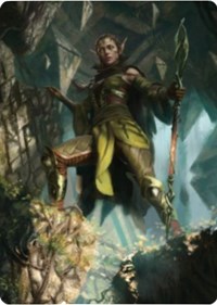 Nissa of Shadowed Boughs Art Card (5/81)