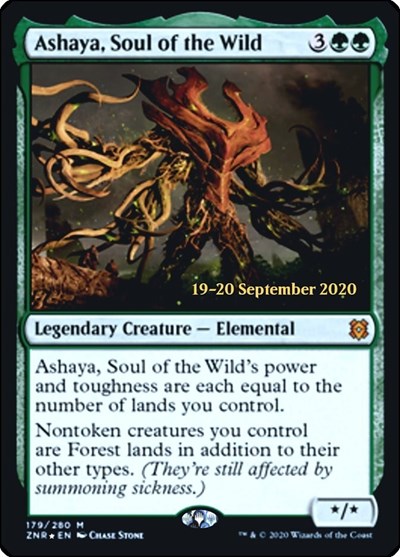 Ashaya Soul of the Wild