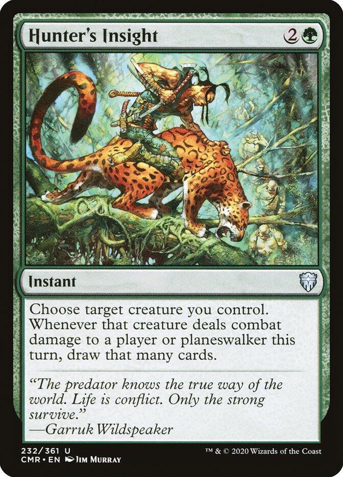 Hunter's Insight 232 card
