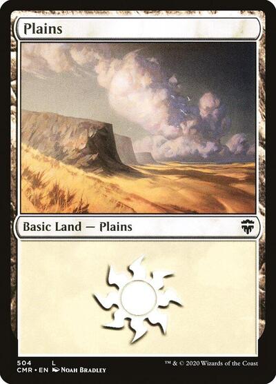 Plains (504)