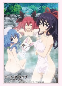 Bushiroad Sleeve Collection HG Vol.2612: Date A Live - Tohka, Kotori, & Yoshino · Bushiroad Card Sleeves