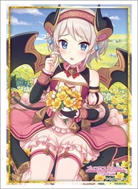 Bushiroad Sleeve Collection HG Vol.2687: Princess Connect! Re:Dive - Yori (60-Pa · Bushiroad Card Sleeves
