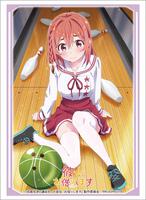 rent a girlfriend card sleeves Vanity Slabs Holder 100pt Thickness for Standard Size Trading Cards for Baseball