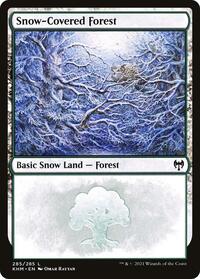Snow-Covered Forest (285)