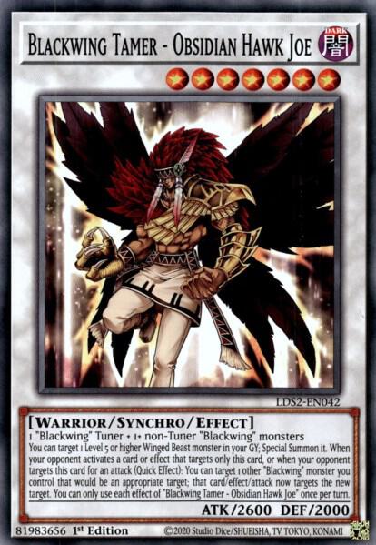 Blackwing Tamer - Obsidian Hawk Joe