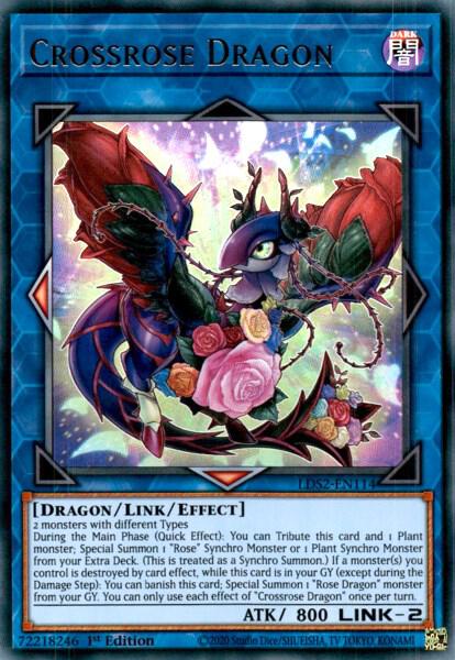 Crossrose Dragon