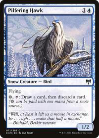 Pilfering Hawk - Kaldheim - Magic: The Gathering card